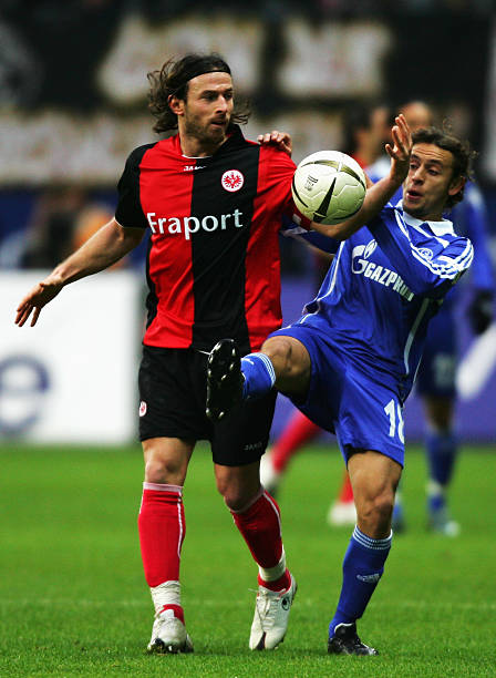 福来说不仅 福来说不仅